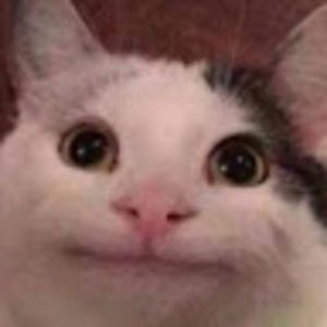 Meet your Posher, Abigael